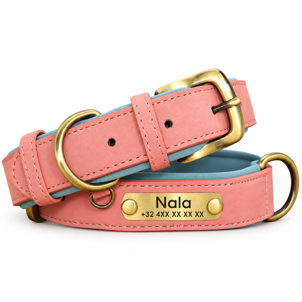 Collier personnalisé rose et bleu avec plaque dorée gravée du prénom et du téléphone