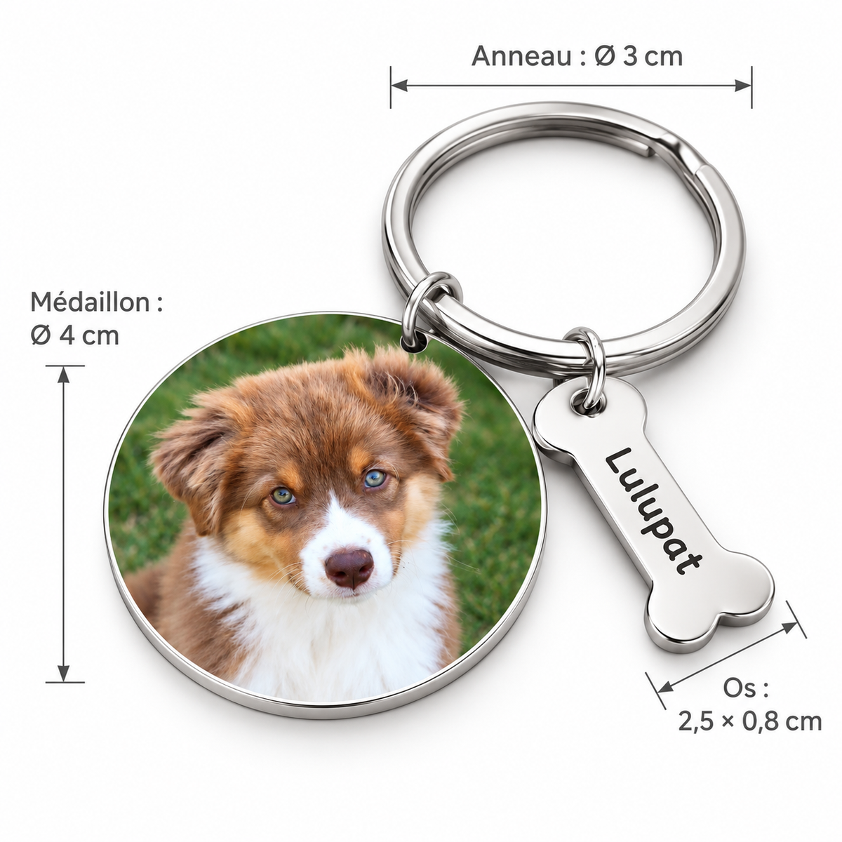 Porte-clés photo personnalisé pour chien ou chat, acier inoxydable