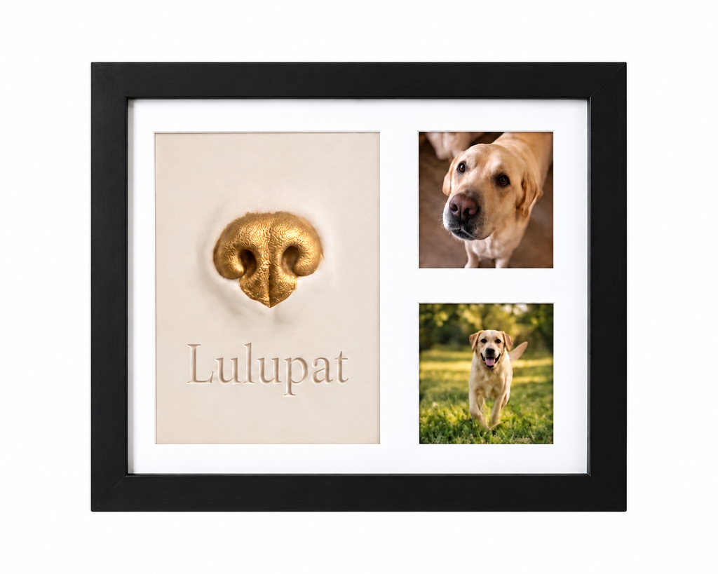 Kit empreinte de nez pour chien ou chat avec cadre photo en bois