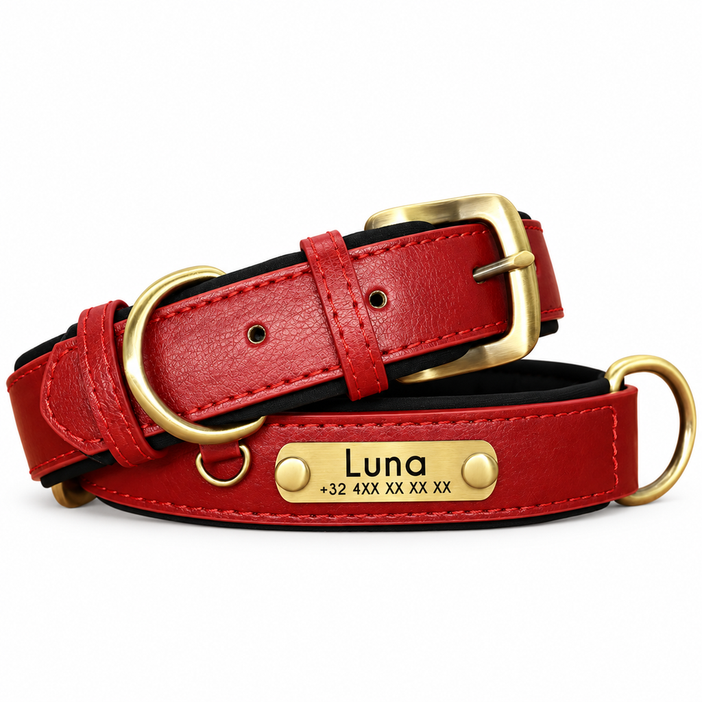Collier personnalisé rouge et noir avec plaque dorée gravée du prénom et du téléphone