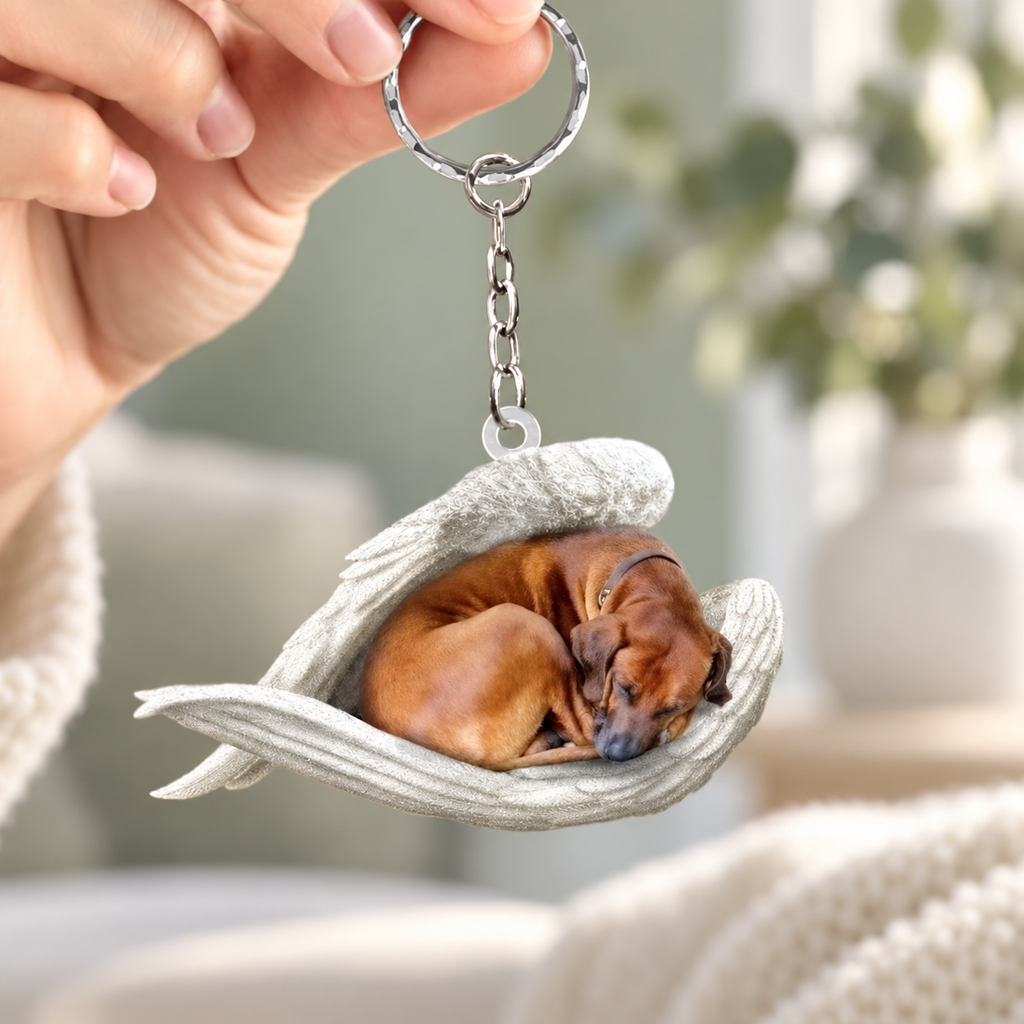 Visuel du porte-clés ange endormi, modèle rhodesian ridgeback, avec anneau métallique