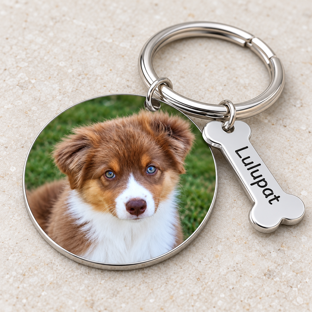 Porte-clés photo personnalisé pour chien ou chat, acier inoxydable
