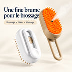 Présentation des deux coloris de la brosse à brumisation