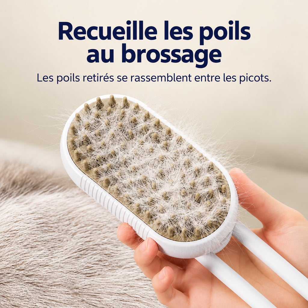 Poils rassemblés entre les picots de la brosse
