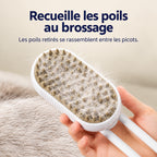 Poils rassemblés entre les picots de la brosse