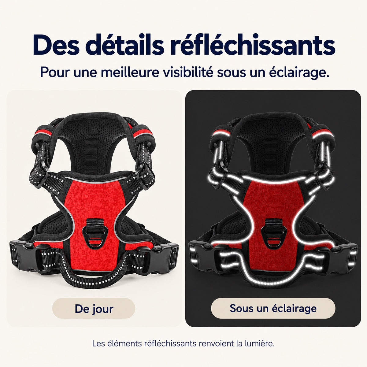 Détails réfléchissants du harnais sous un éclairage
