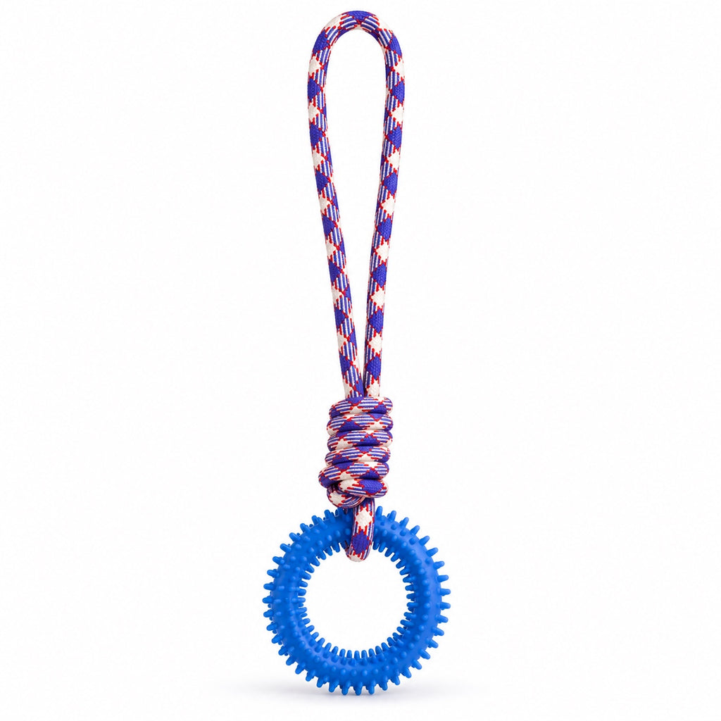 Jouet en corde tressée avec boucle et anneau bleu à picots pour chien