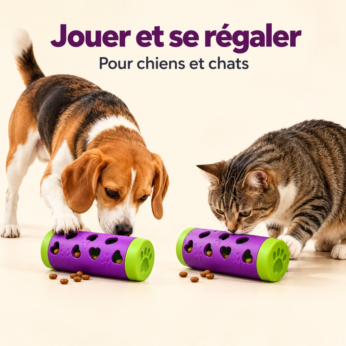Chien et chat explorant chacun un distributeur de friandises violet et vert