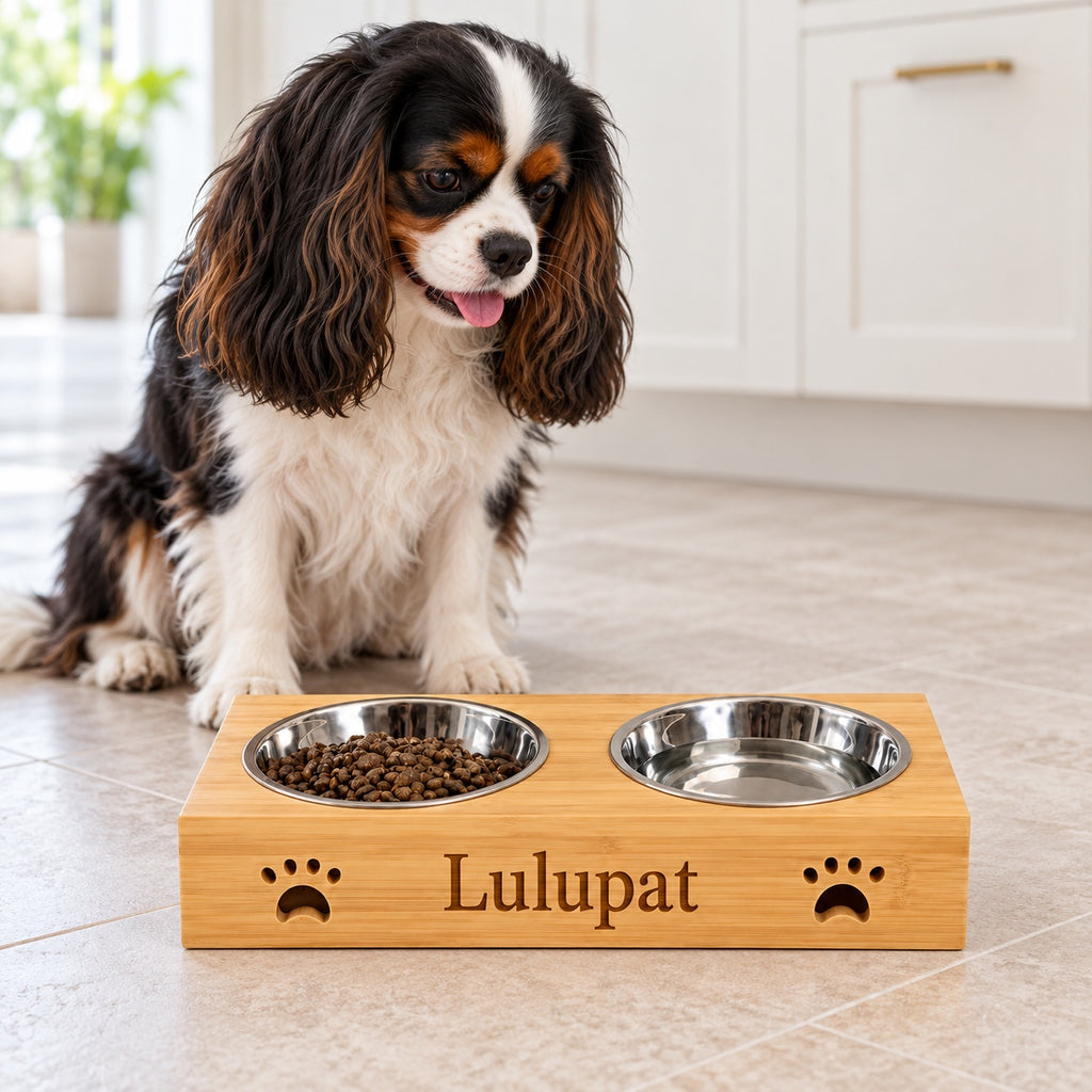 Petit chien devant deux gamelles sur support en bois avec exemple de gravure Lulupat