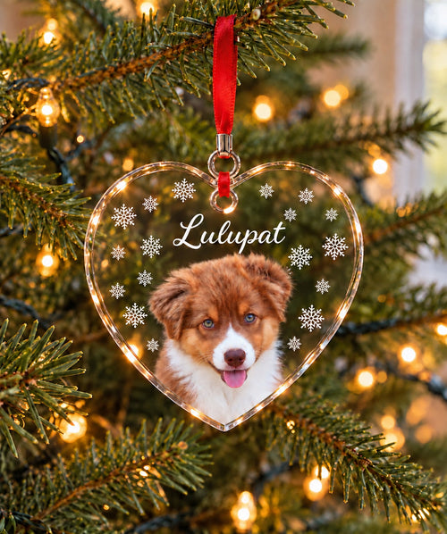 Exemple de suspension cœur en cristal — chien