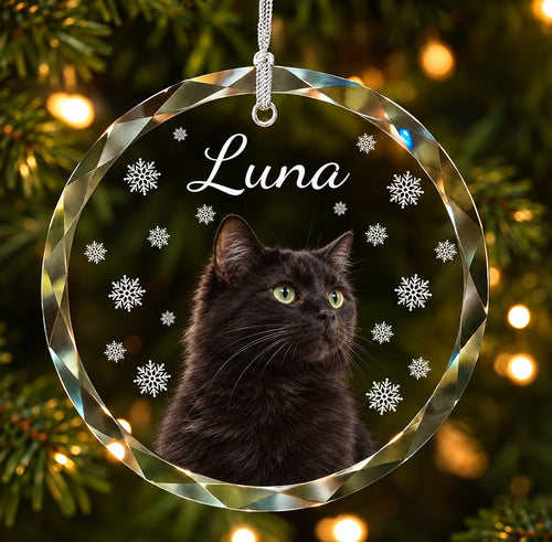 Exemple de suspension ronde en cristal — Luna