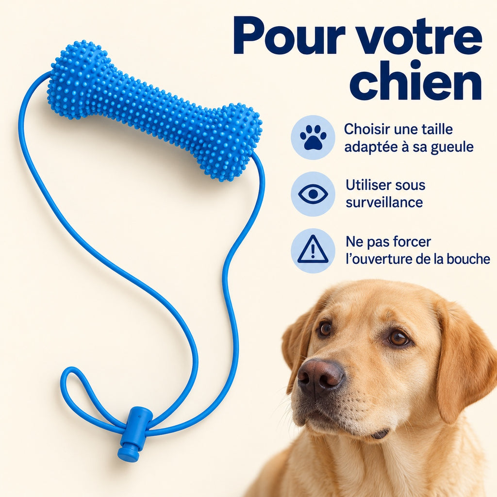 Conseils : taille adaptée, surveillance et ouverture de la bouche sans forcer