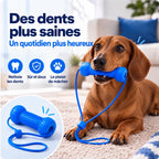 Présentation de l’accessoire bleu avec un teckel