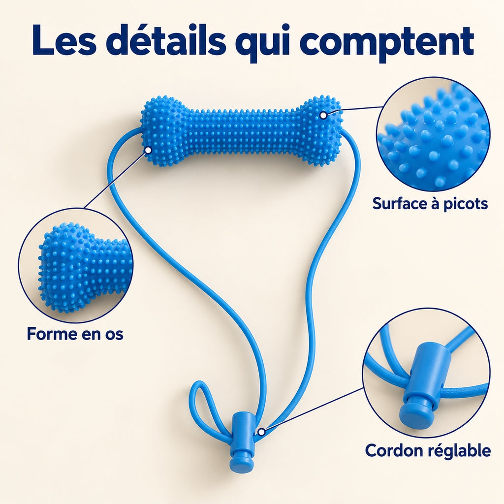 Détails de l’accessoire bleu : forme en os, surface à picots et cordon avec pièce de réglage