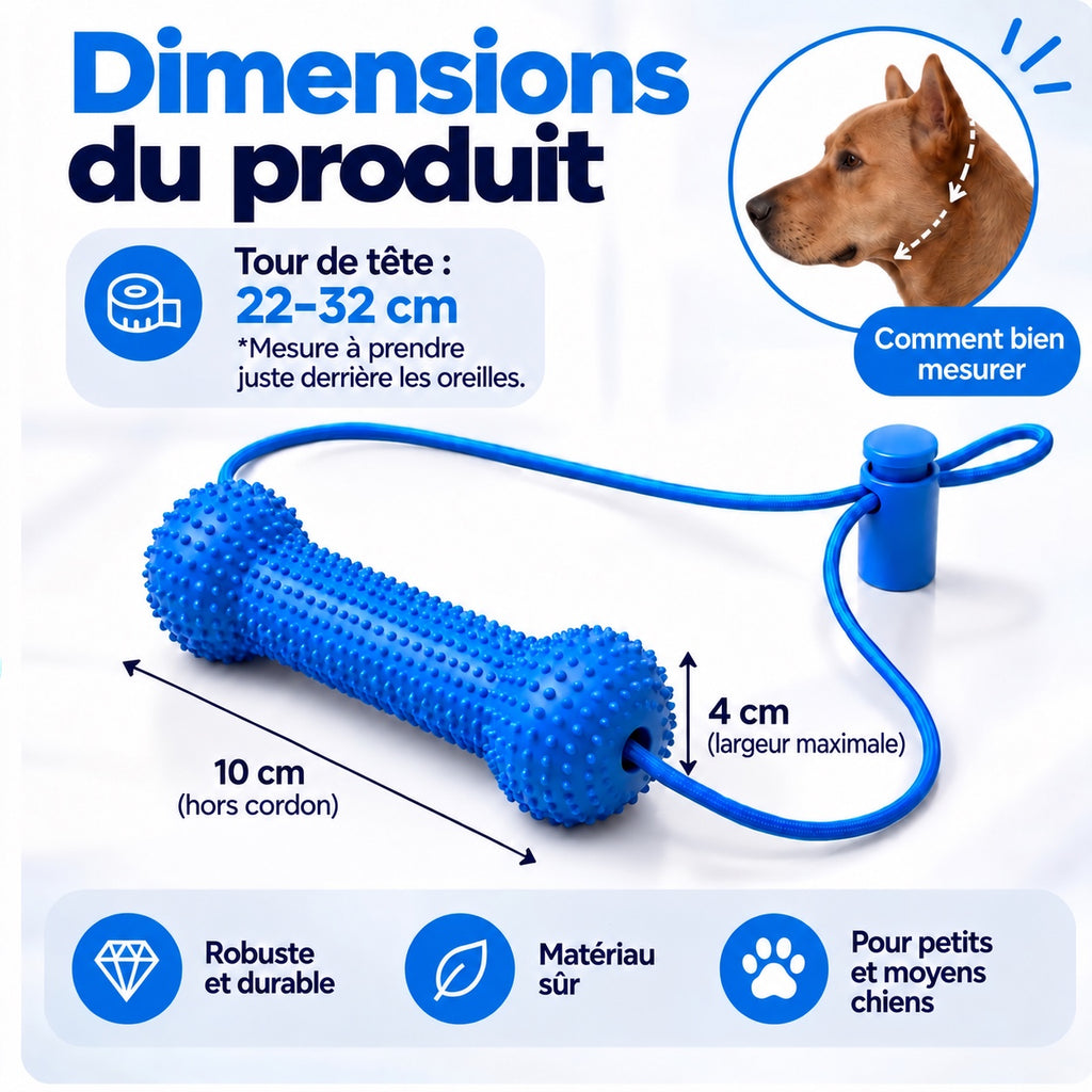 Dimensions présentées du modèle 10 cm : longueur hors cordon et largeur maximale de 4 cm