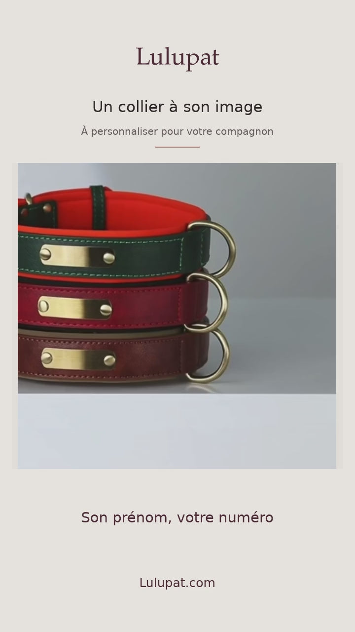 Présentation du collier personnalisé Lulupat : plaques, coloris, boucle et finitions — vidéo sans son de 15 secondes.