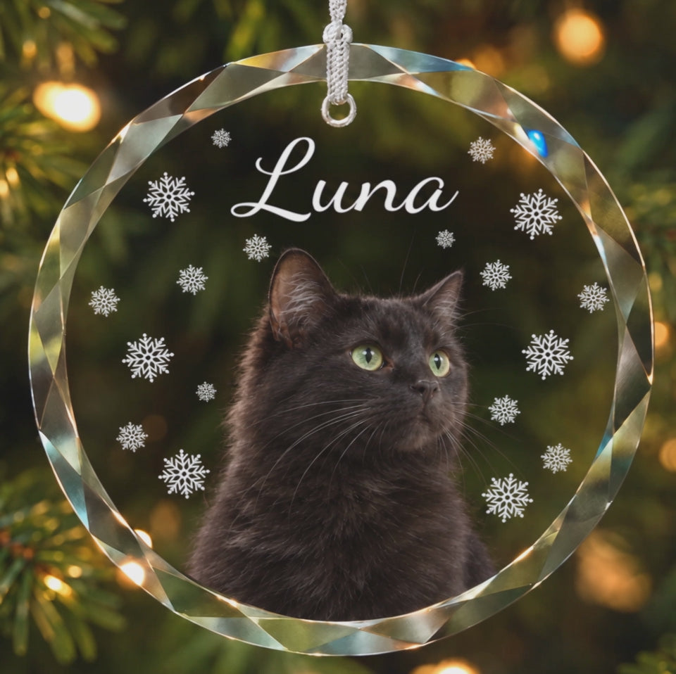 Présentation de la suspension ronde Luna — exemple de personnalisation